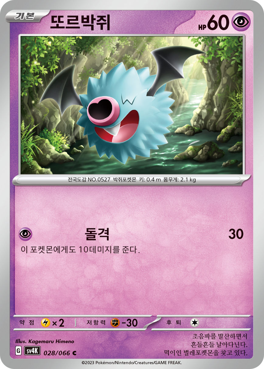 또르박쥐
