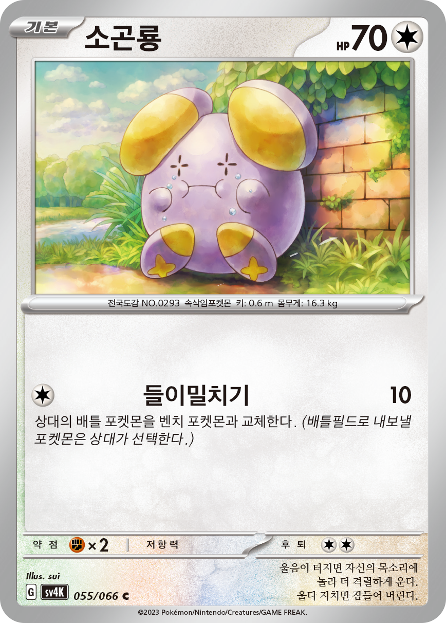 소곤룡