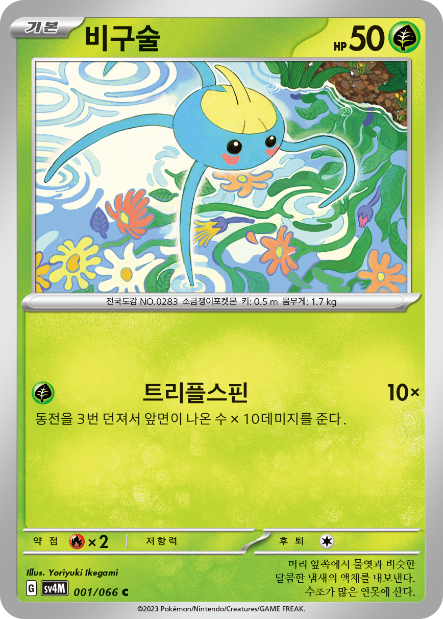 비구술