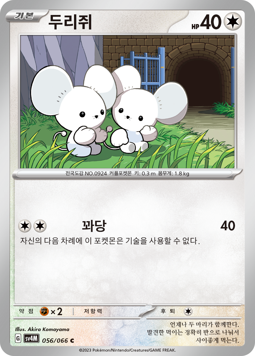 두리쥐