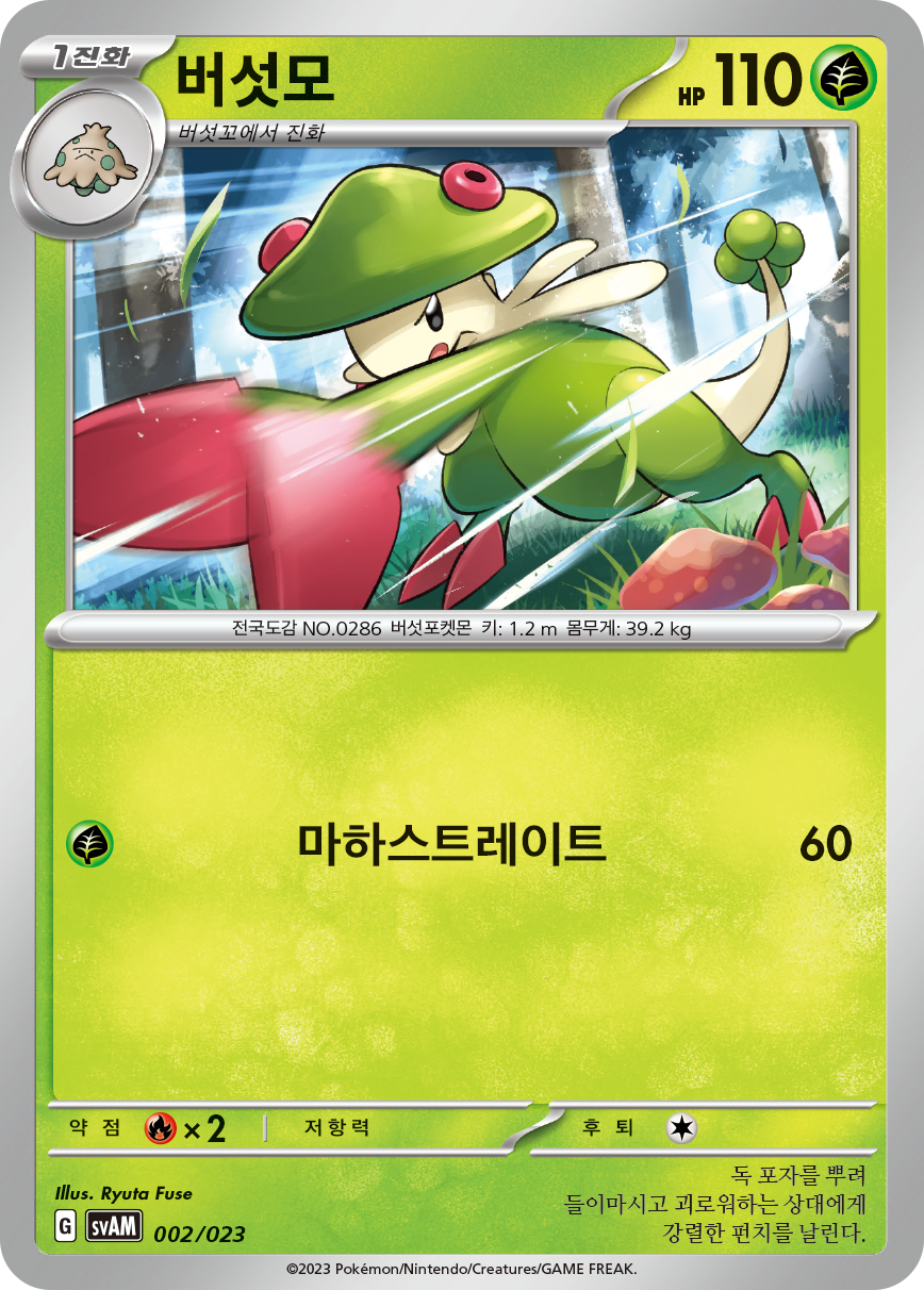 버섯모