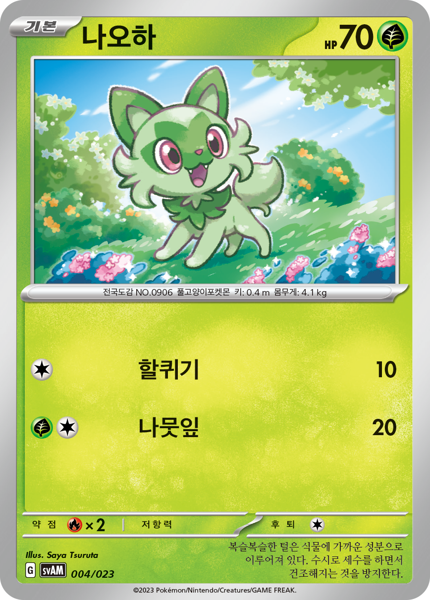 나오하