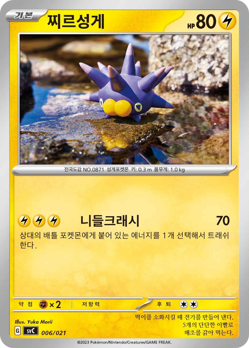 찌르성게
