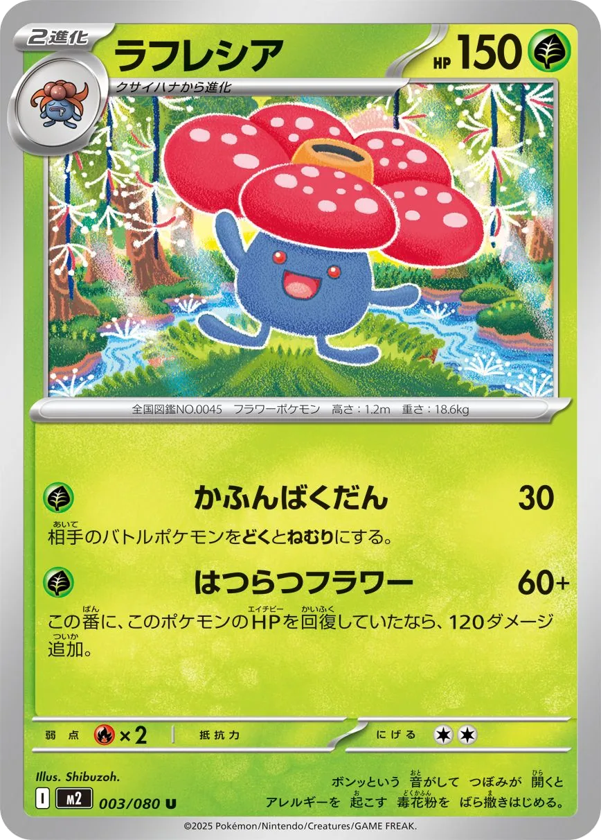 Rafflesia