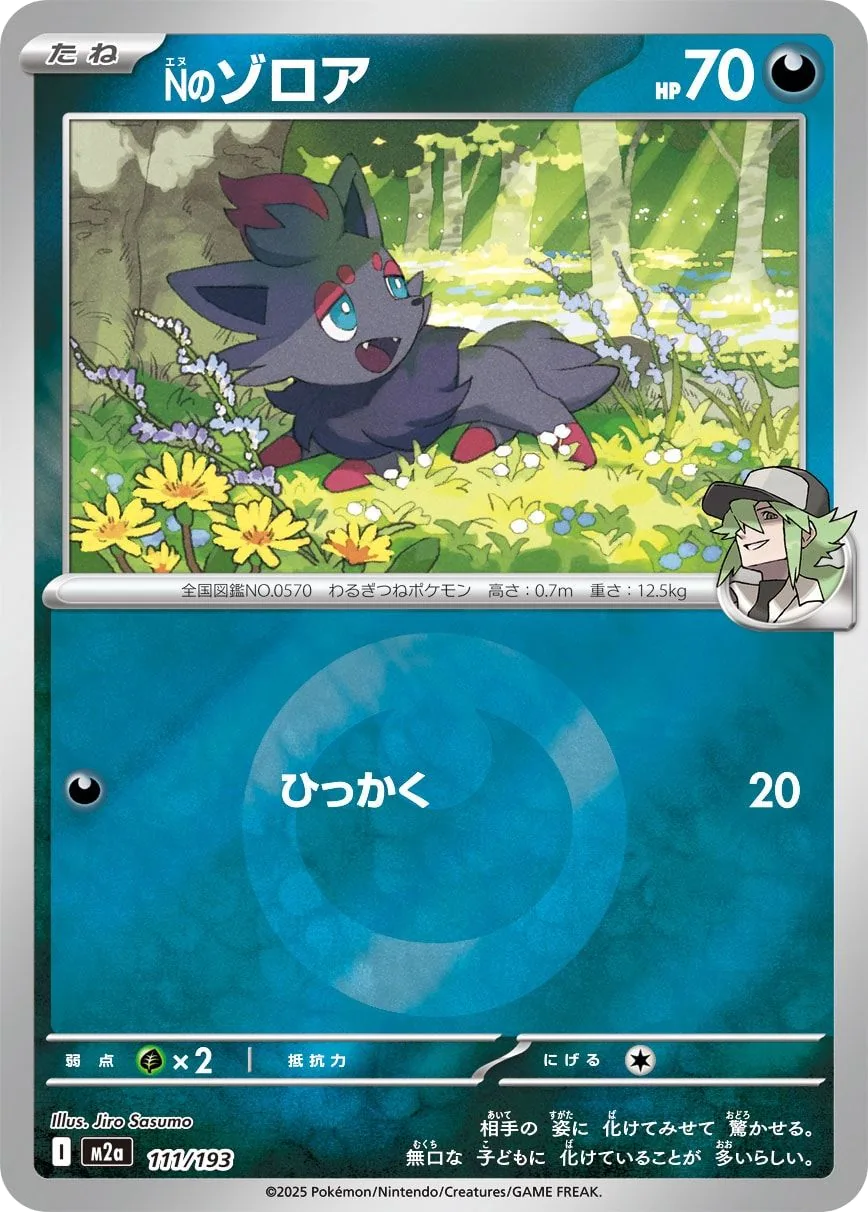 N's Zorua