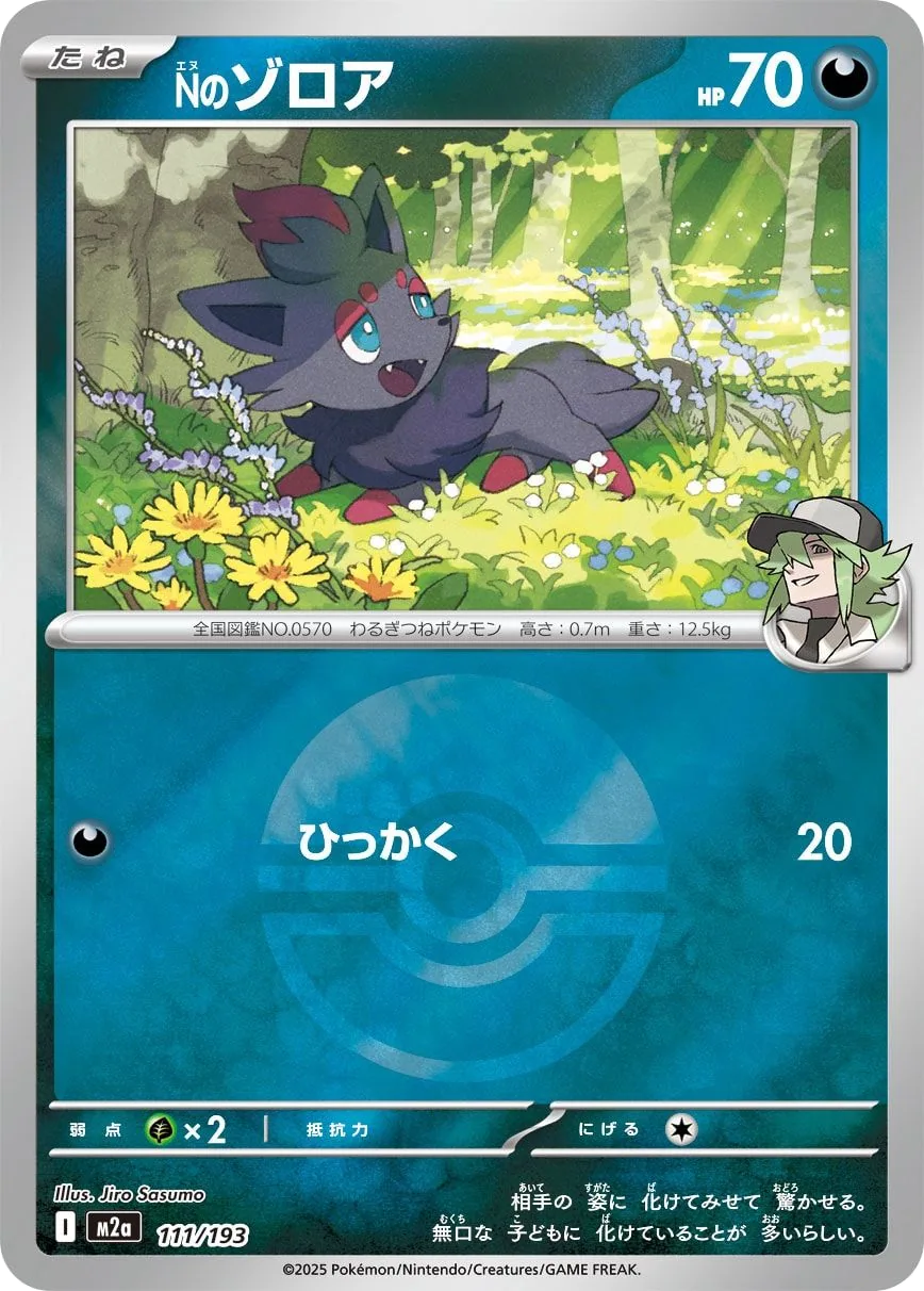 Ns Zorua