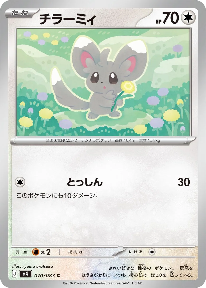 Minccino