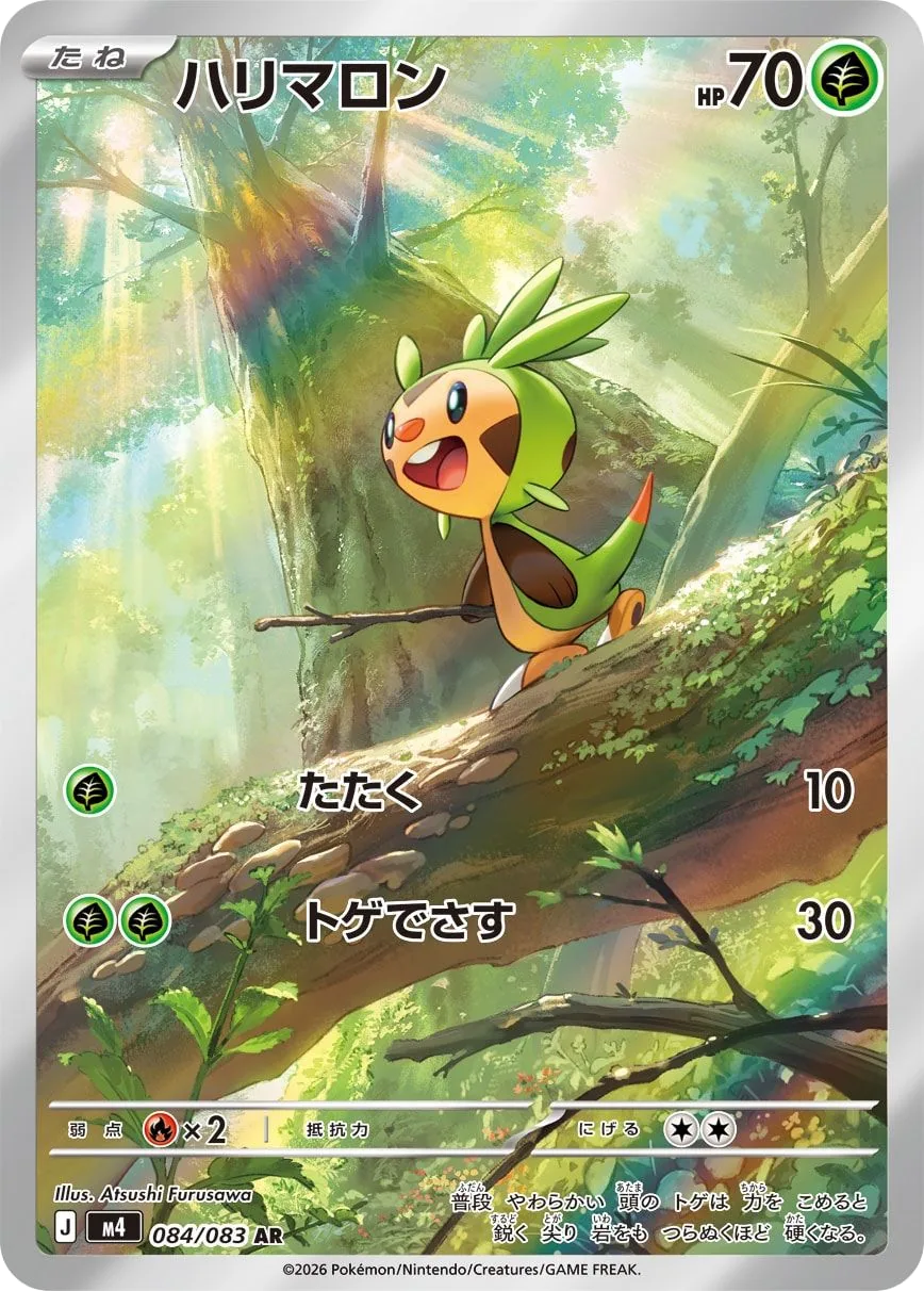 Chespin M4 84