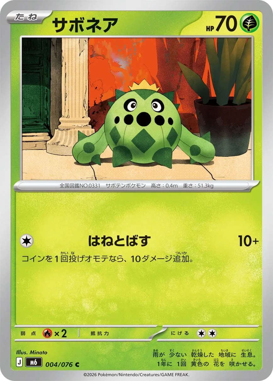 Cacnea M6 4