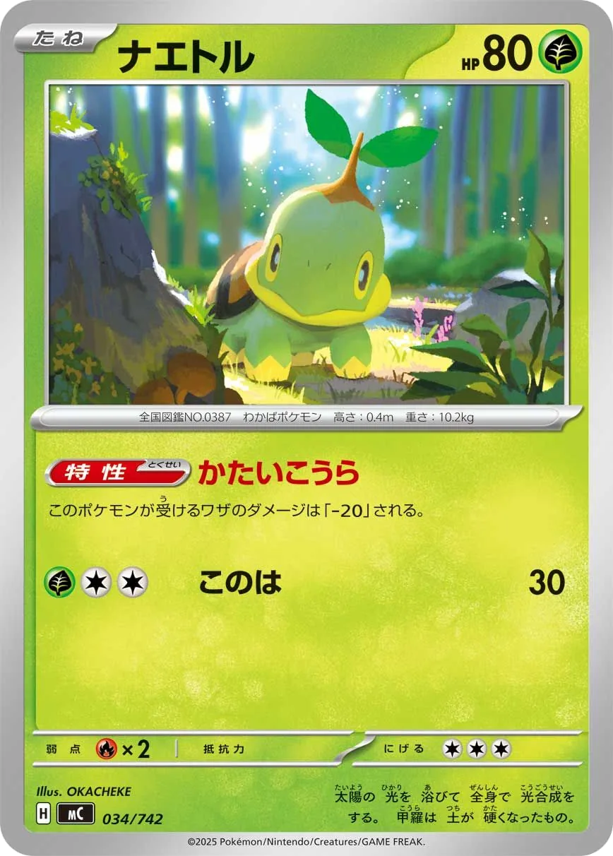 Turtwig