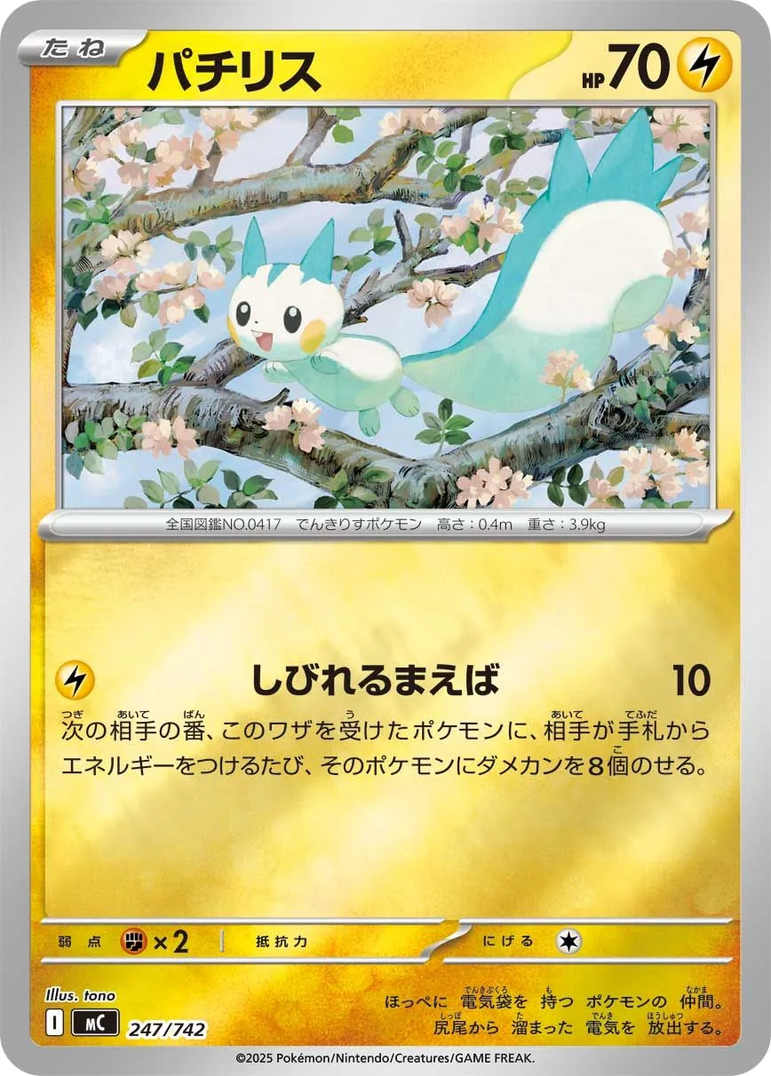 Pachirisu MC 247