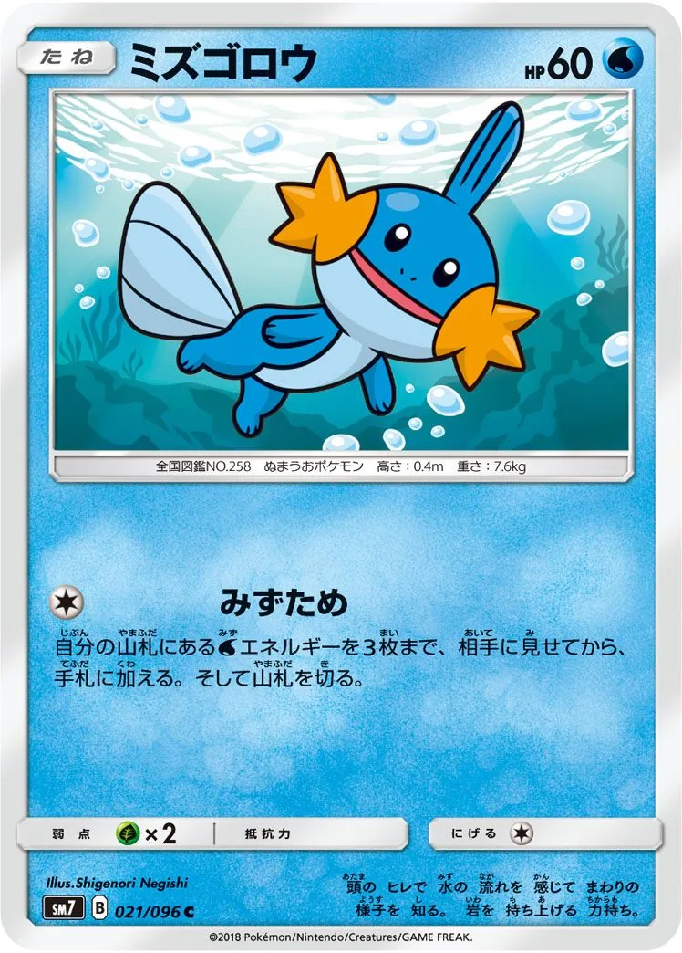 Mudkip SM7 21