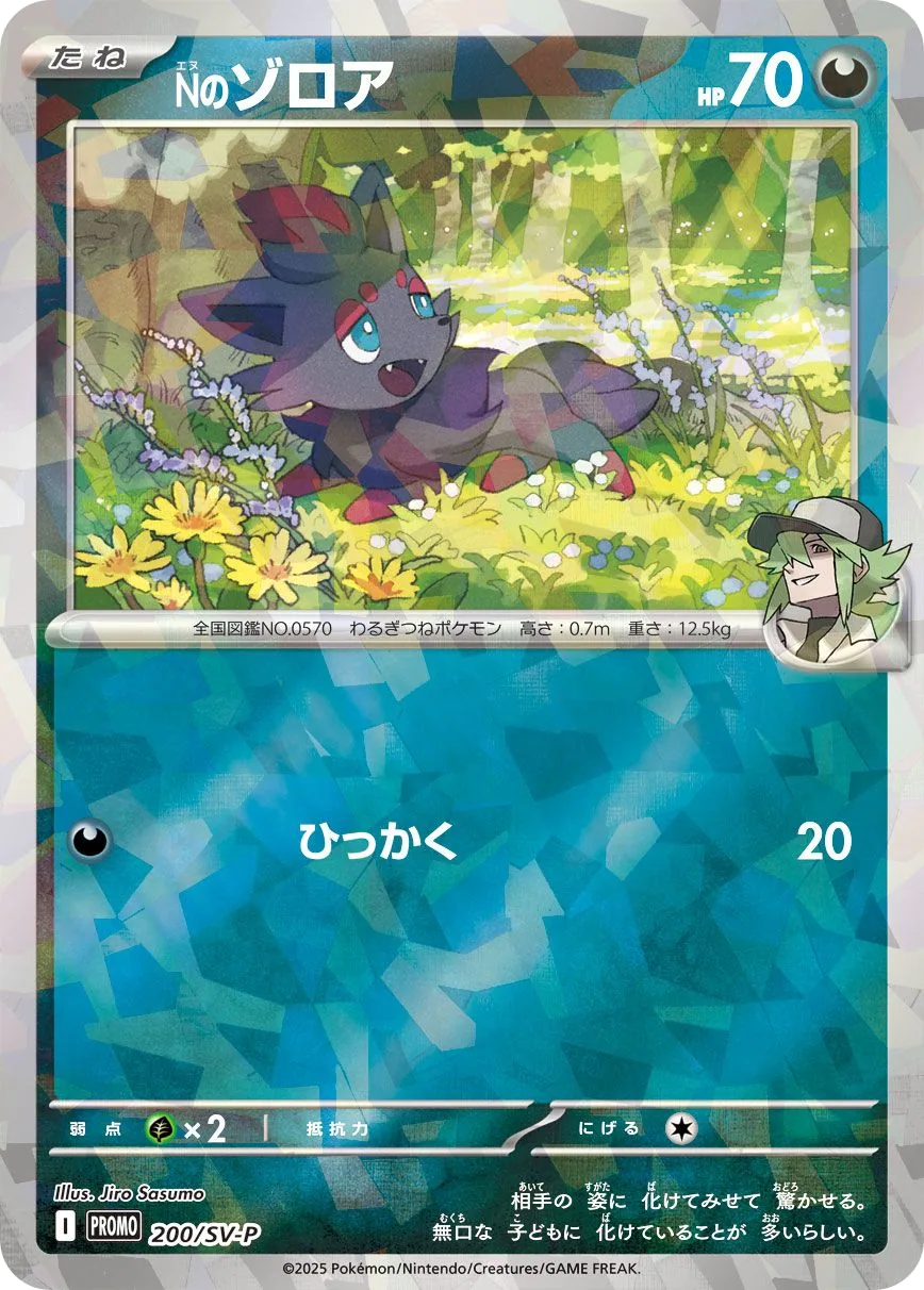 N's Zorua SV-P 200