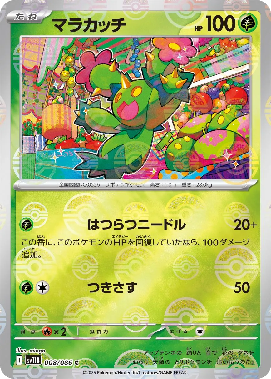 Maractus