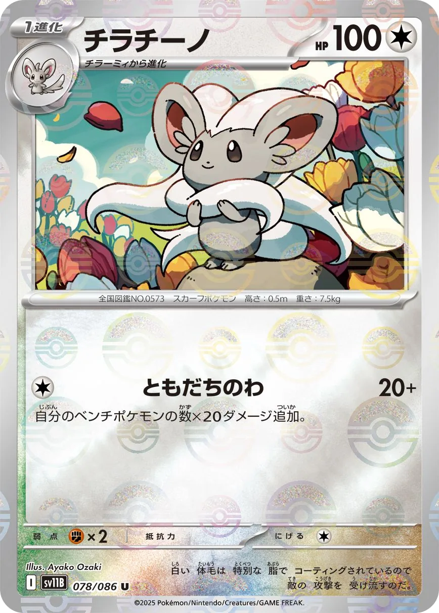 Cinccino
