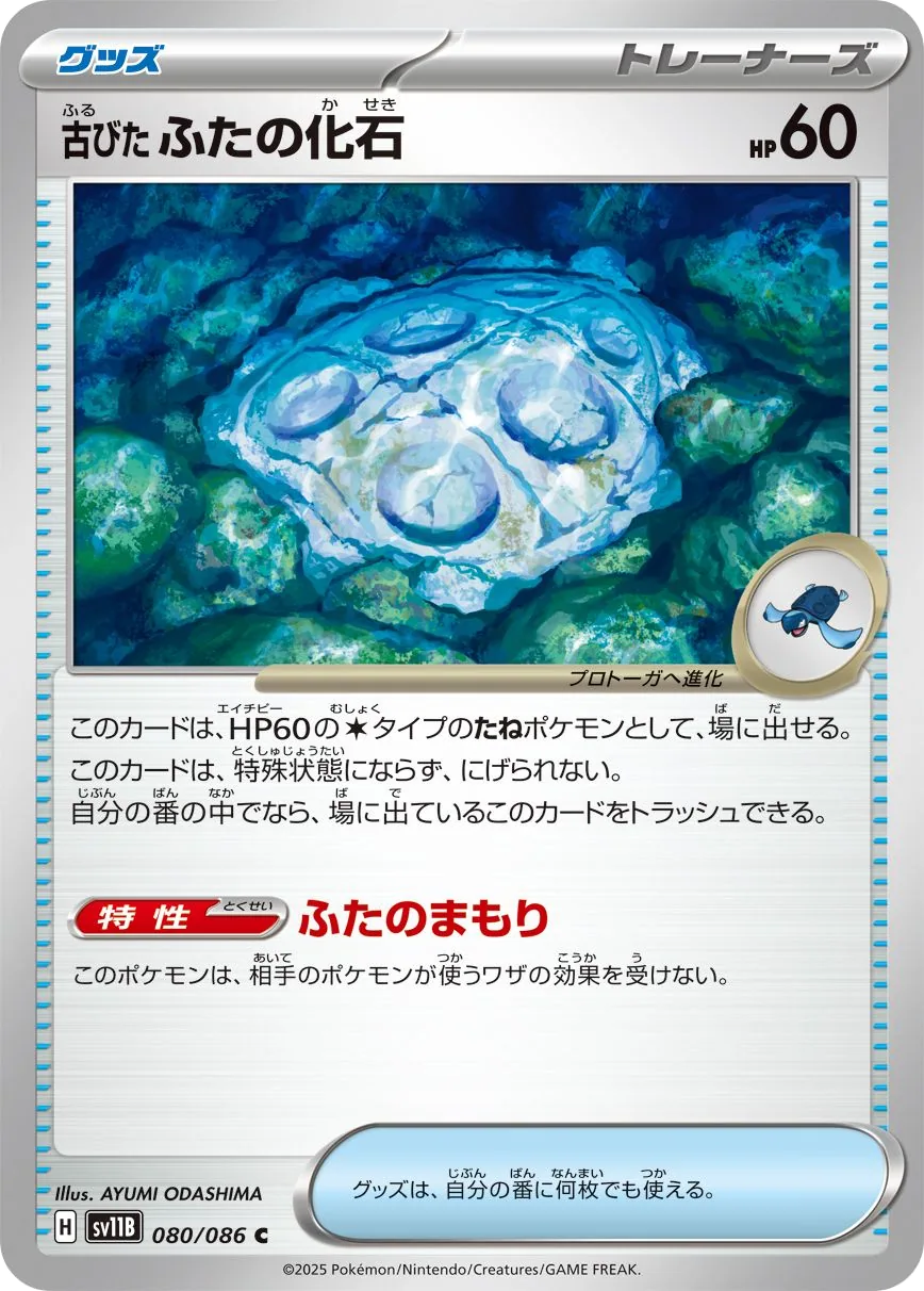 Antikes Schildfossil