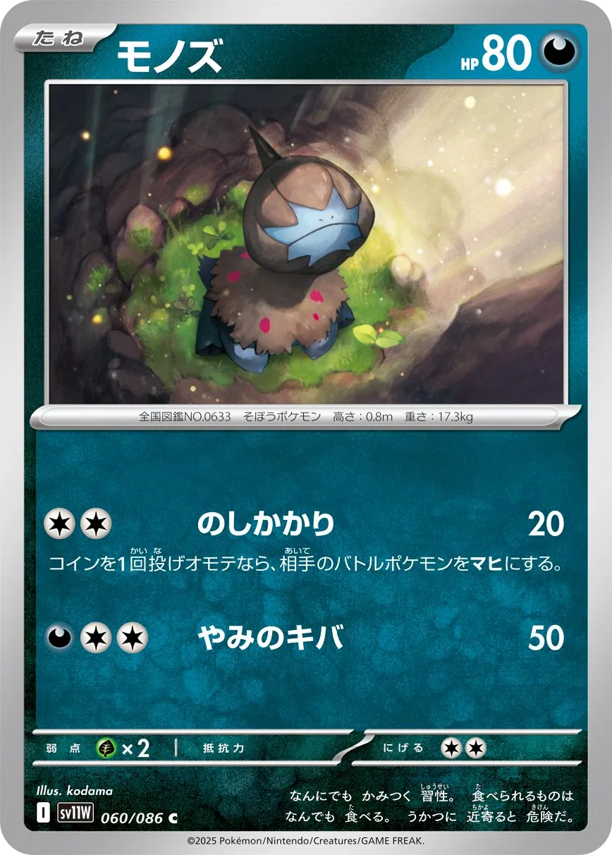 Solochi