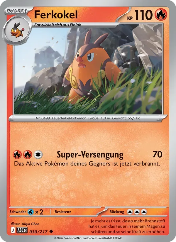 Ferkokel