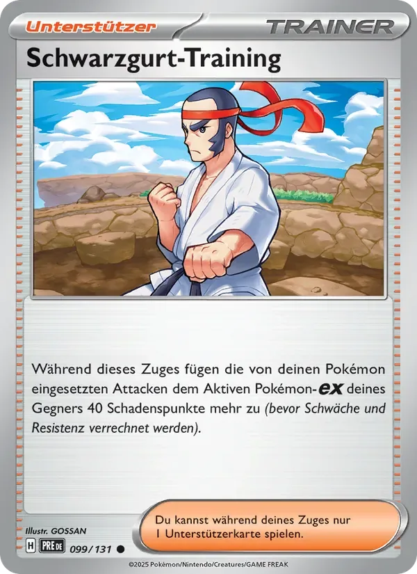 Schwarzgurt-Training PRE 99
