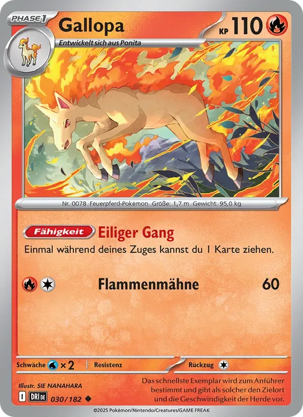 Gallopa DRI 30
