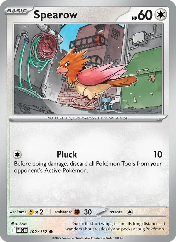 Spearow