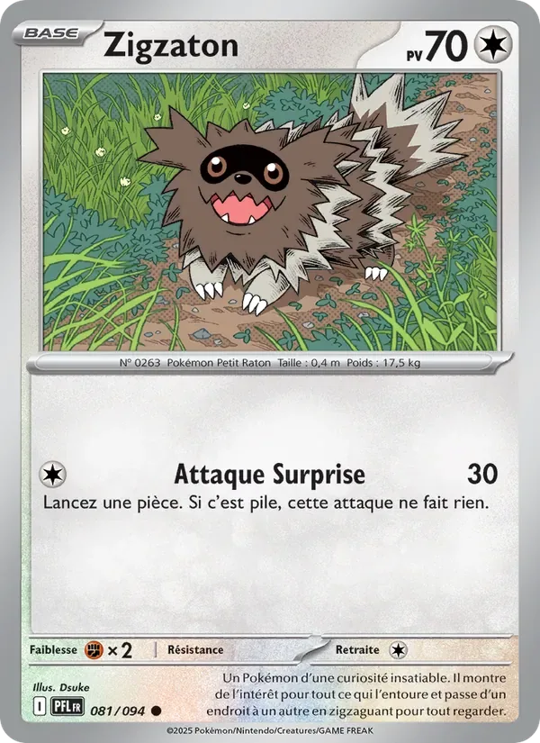 Zigzaton