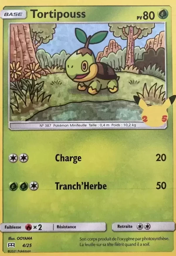Turtwig
