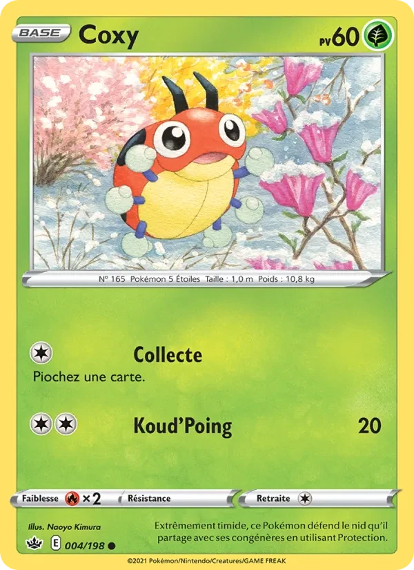Ledyba
