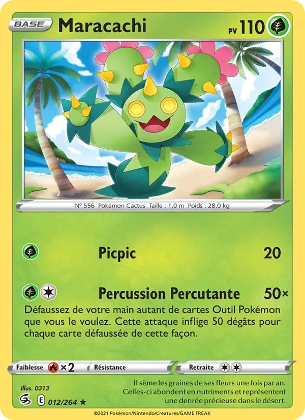 Maractus