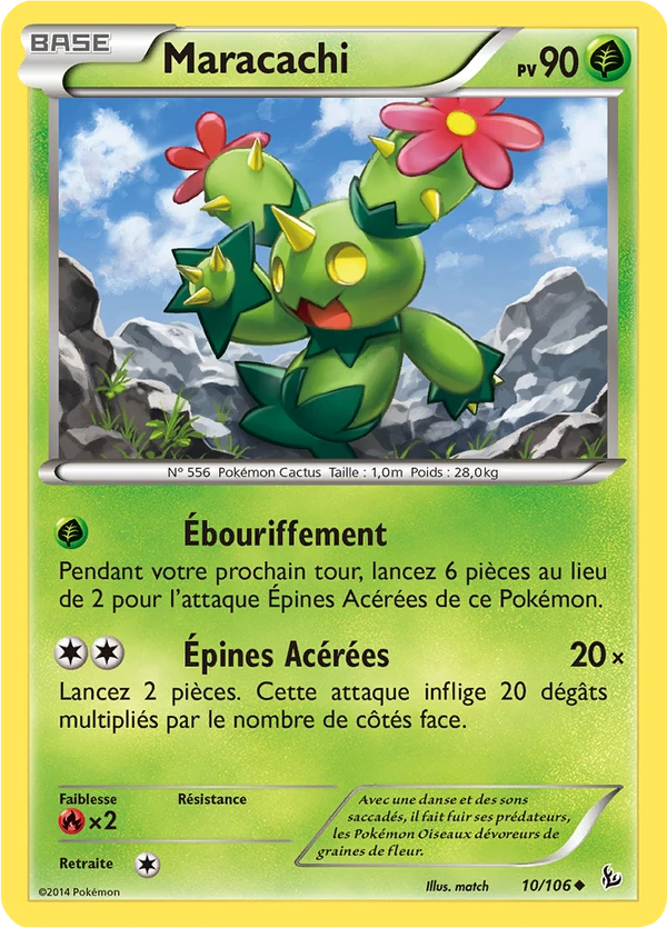 Maractus