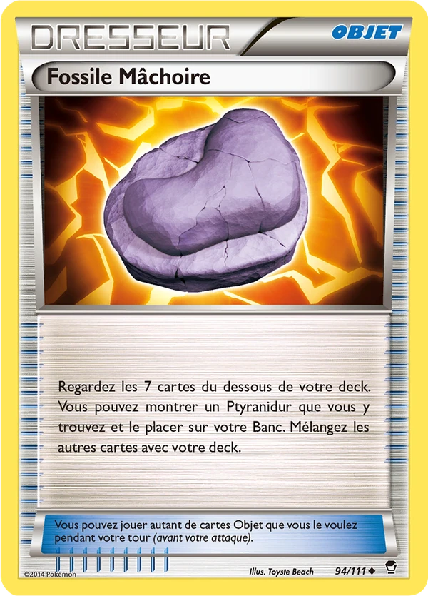 Kieferfossil