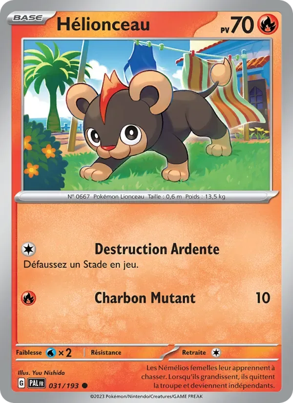Hélionceau