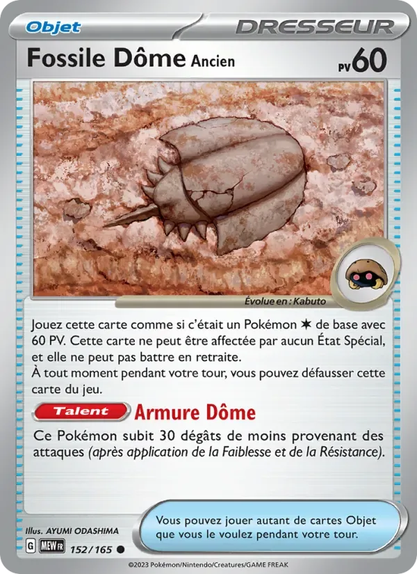 Fossile Dôme Ancien