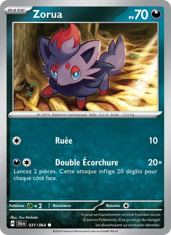 Zorua SFA 31