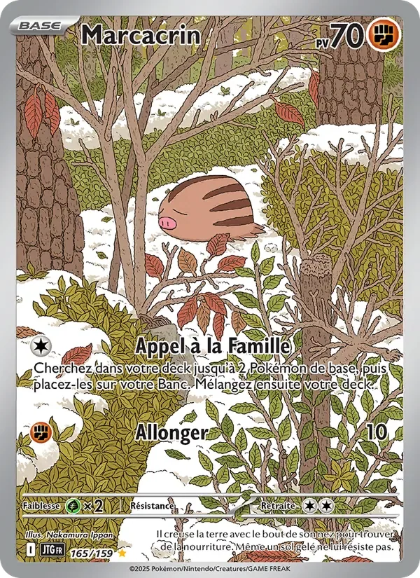 Marcacrin