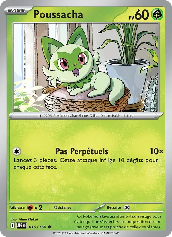 Poussacha