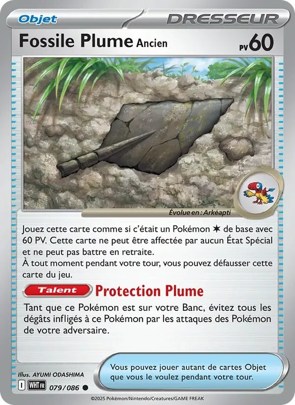 Fossile Plume Ancien