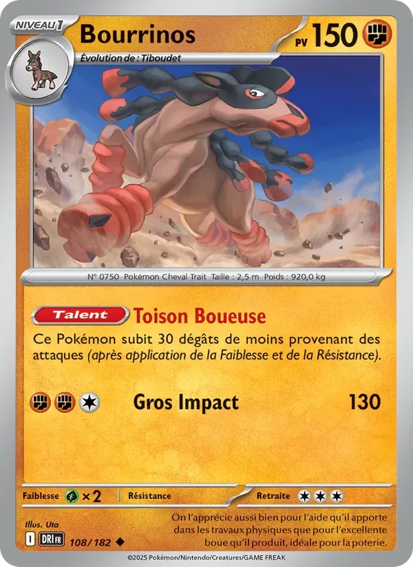 Bourrinos