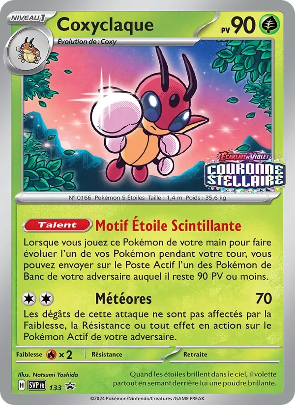 Coxyclaque