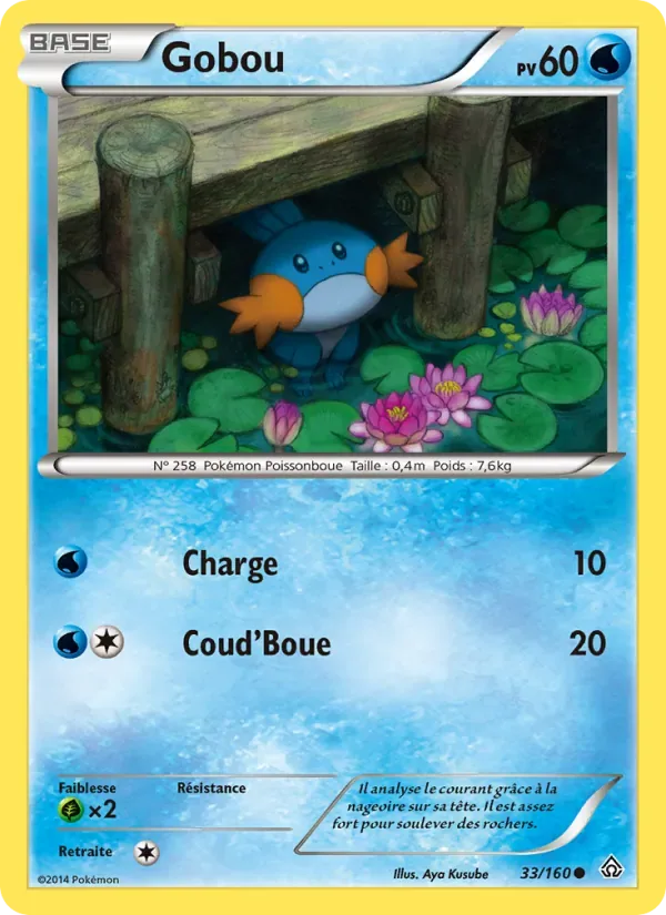 Mudkip PRC 33/160